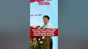 Chủ tịch nước Lương Cường đi xe đặc chủng quân đội vào vùng ngập Đà Nẵng dự Ngày hội đại đoàn kết