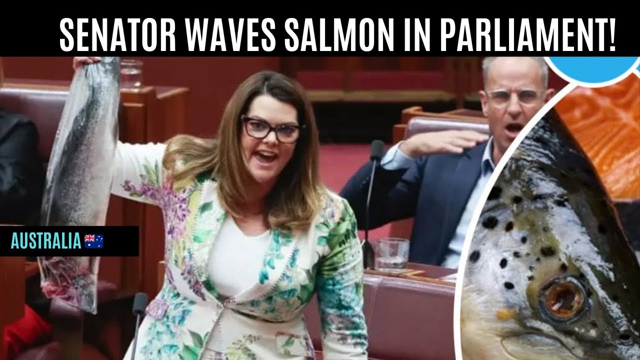 Senator Waves Salmon in Australia Parliament! 🇦🇺Sarah Hanson's Shocking Parliament Stunt!