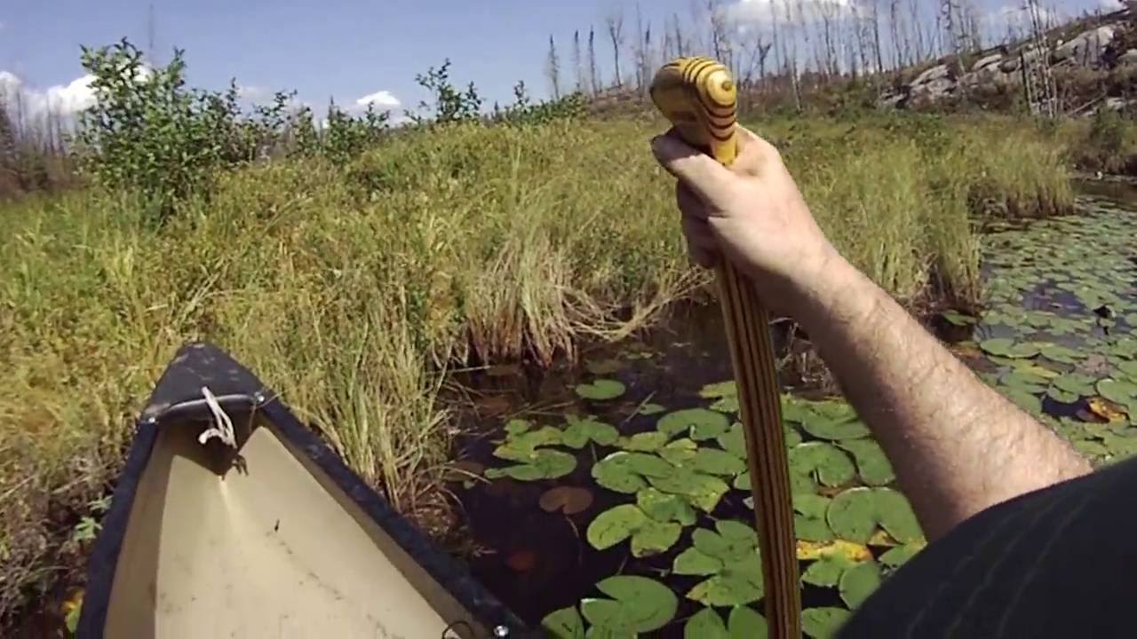 Judd Lake - Paddling north end of this lake in the Weasel Lake PMA in the BWCA