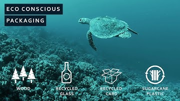 NOPE SHOW VIDEO FULL 29MAR