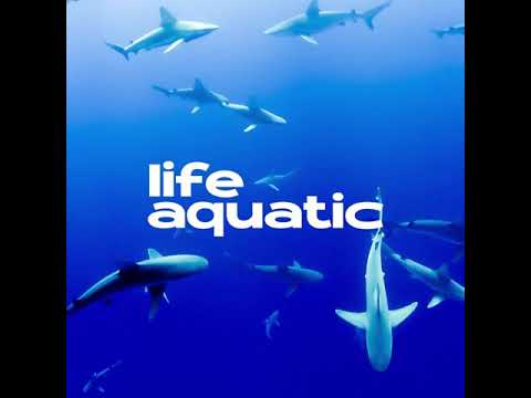 Life Aquatic - Soundsnap Sound Effects Collection