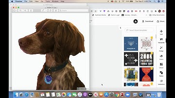 Remove Background with Adobe Spark free