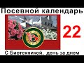 Выращиваем с Биотехникой. 7 мая.Сажаем петунию на ПМЖ