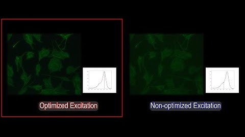 Optimized excitation of fluorescent dye using Tunable Light Source for fluorescence imaging