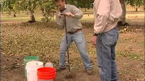 Taking Soil Samples Part  3: Taking  Samples in the Orchard