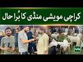 Karachi Cattle Market Report | Buyers & Sellers Exclusive Interview on Prices & Trade Situation