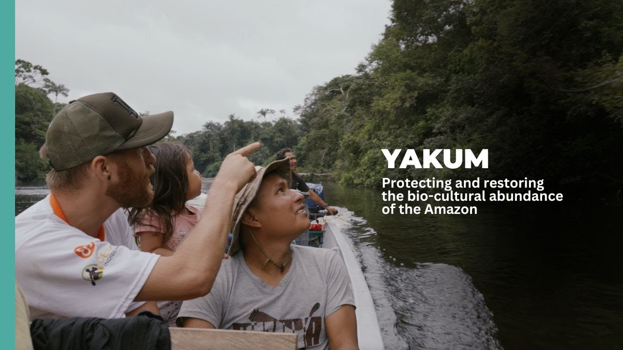 YAKUM | Protecting and restoring the bio-cultural abundance of the Amazon