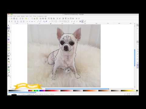 How to Draw a Chihuahua - YouTube