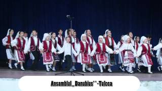Ansamblul ,,Danubius
