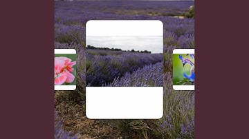 Scintillating Backdrops for Calming Clarity