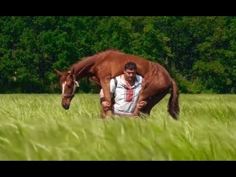 The Man who Lifts Horses: Unconventional Strength - YouTube