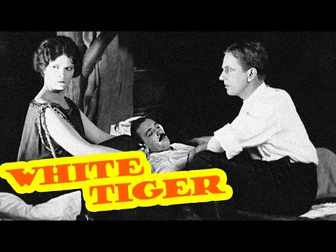 WHITE TIGER
