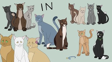 11/14 DONE [closed] IN - Warrior Cats PMV MAP