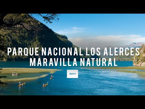 Rumbo a conocer una maravilla natural de argentina y el mundo, el Parque Nacional Los Alerces