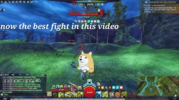 gw2 wvw druid roaming meme the last fight though XD