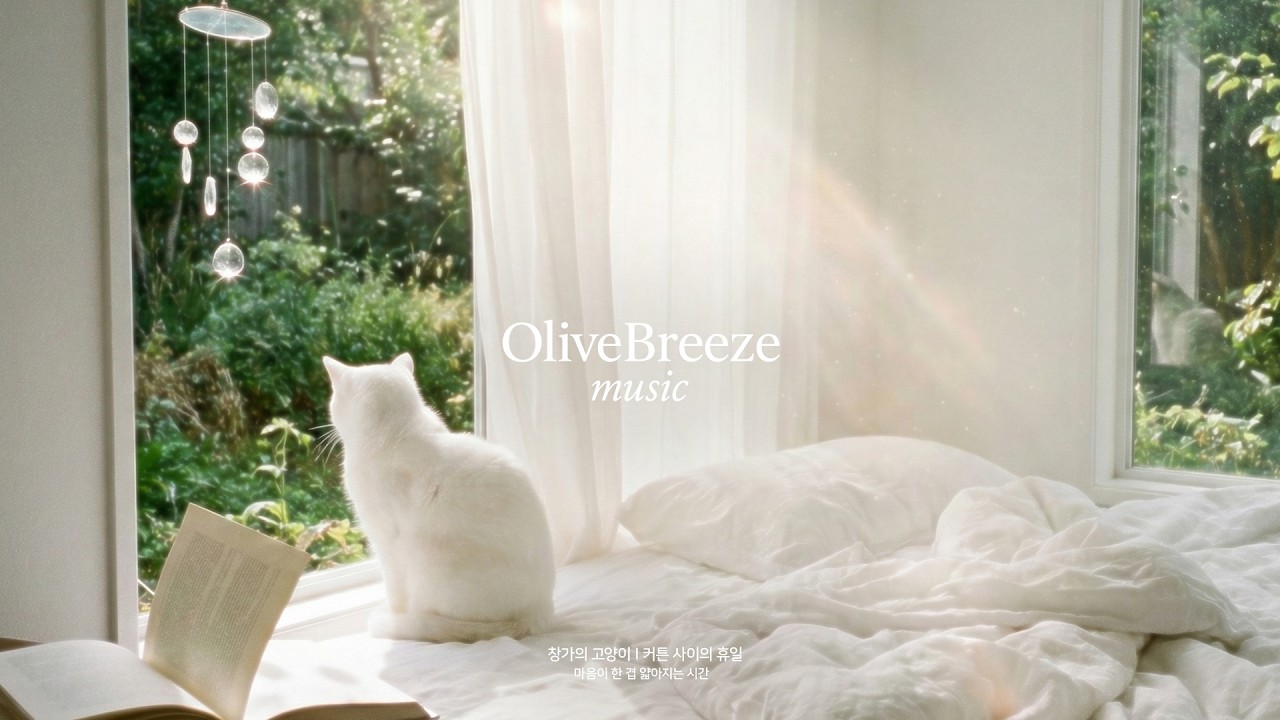 𝐏𝐥𝐚𝐲𝐥𝐢𝐬𝐭 | 창가의 고양이 l 커튼 사이의 휴일