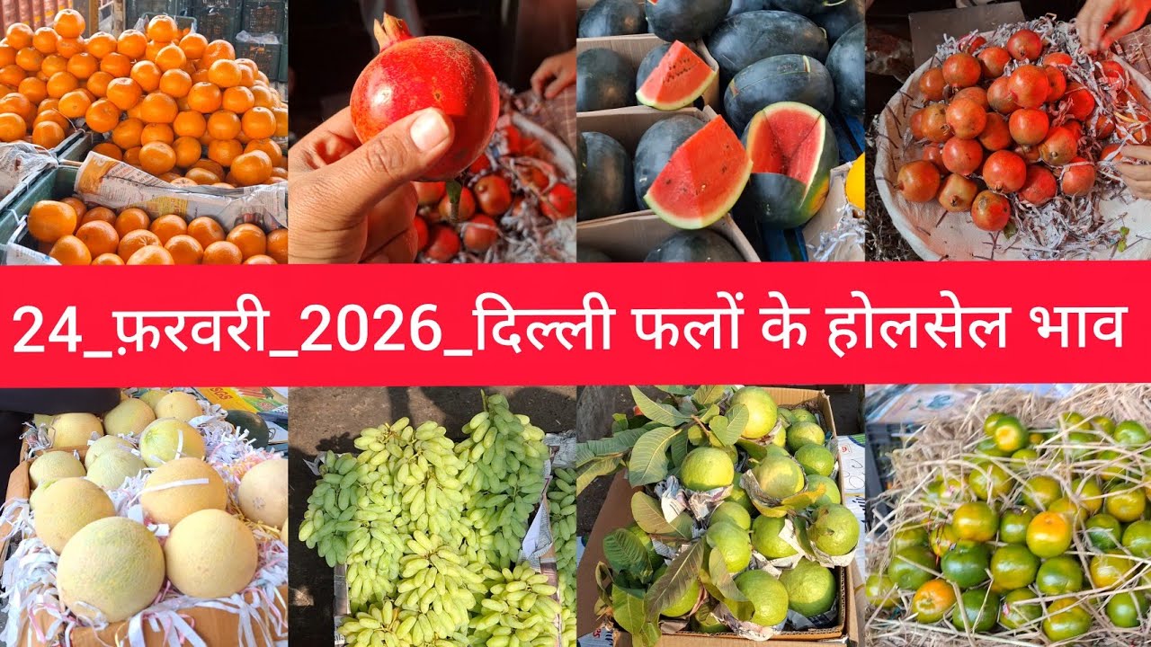 24 February 2026 दिल्ली आम और सभी फलों के भाव delhi fruit market price APMC fruitmarket #fruitmarket