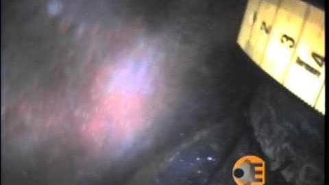 Offshore riser corrosion evaluation with Optis RT-120