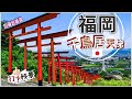 [福岡秘景遊] 絕美鳥居天梯打卡景點⛩️ | 九州最人氣的千鳥居群 | 自駕遊精選 | 浮羽稻荷神社