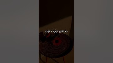 القارئ عصام حمود ||| آخر سورة الحشر بصوت جميل