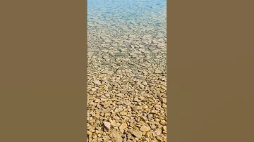 حسام اللباد وتصيح يا محمد Fypシ سوريا Keşfet Art Nordo سوريا تركيا Funny اليمن العراق 