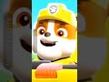 Paw Patrol Rubble