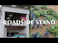 I made a roadside produce stand self serve stand  self serve market stand  honor system stand