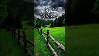 Quran Urdu translation surah #youtubeshosts #quranictranslation #motivation #history #duet #quotes
