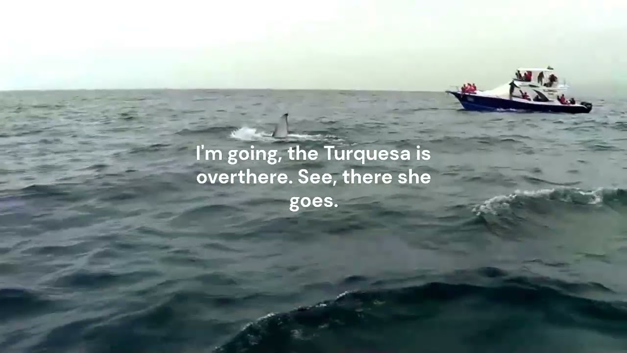 WELCOME to PUERTO LOPEZ 0