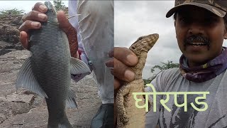 fish hunt||monitor lizard hunt||black rohu fishing||incredible fishing