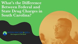 What’s the Difference Between Federal and State Drug Charges in South Carolina? | Get Legal Help Now