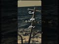 مشينا يا قلبي مشينا املنا بكره نعود