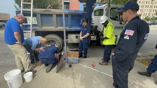 WATCH: Tiny kitten rescued from downtown Louisville storm drain