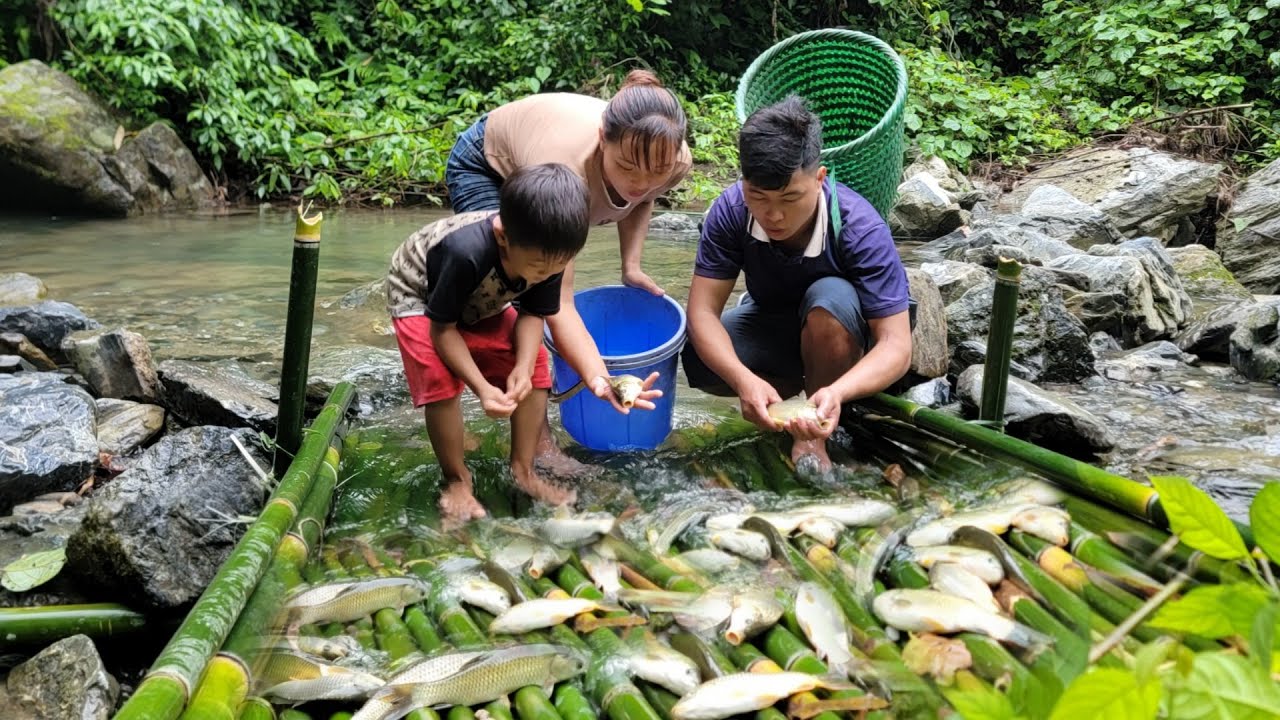 During the flood season, Ba family went to make fish traps - how to ...
