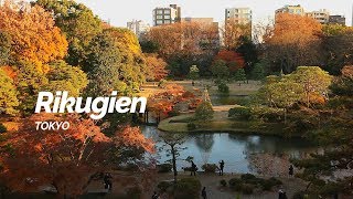Rikugien, Tokyo | Japan Travel Guide