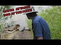 Alligator attacks a dog in city park! Ranger T [Episode 7]