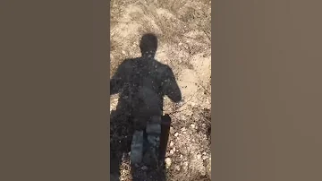 СТ Кипарис