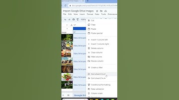 📥 Import Google Drive Images Into Spreadsheet 📊 #spreadsheetskills  #googlesheets #googlesheets