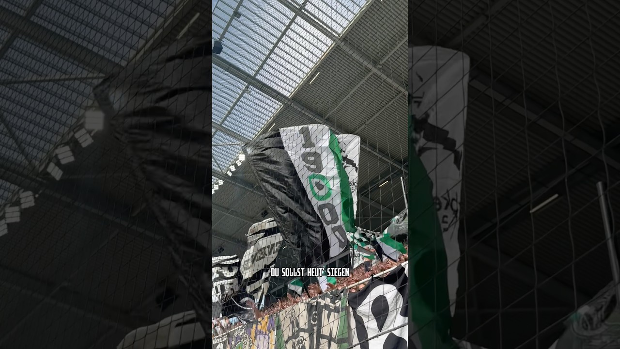 Diese Atmosphäre 🤩🎶💚 #diefohlen #fans