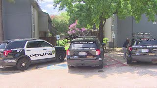 Woman shot to death in Greenspoint area; 'giant snakes' found inside apartment, HPD says