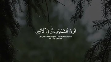 ﴿يَا بُنَيَّ إِنَّهَا إِن تَكُ مِثْقَالَ حَبَّةٍ مِّنْ خَرْدَلٍ﴾ القارئ ماهر المعيقلي