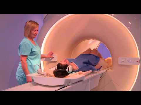 Video: MRI atklāj, ka Frenchie smadzene ir gandrīz tikpat gudra un neērta kā viņi ir