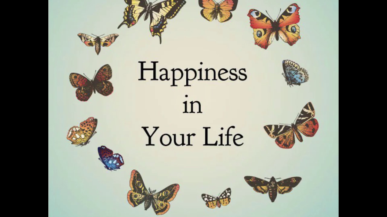 Are you happy in your life