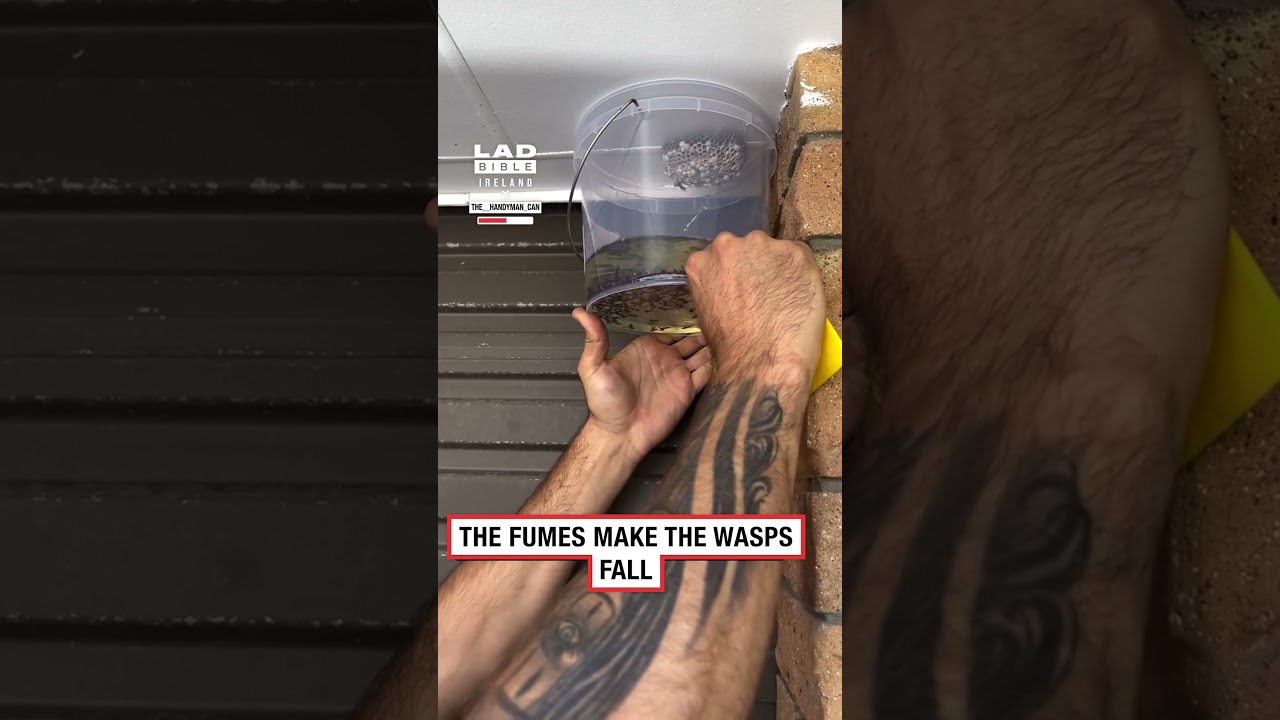 Removing a wasp's nest with gasoline
