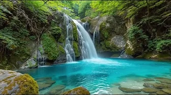 Waterfall Gentle Stream Sound in forest 24/7. Waterfall Sounds, Flowing Water, White Noise for Sleep Waterfall Gentle Stream Sound in forest 24/7. Waterfall Sounds, Flowing Water, White Noise for Sleep