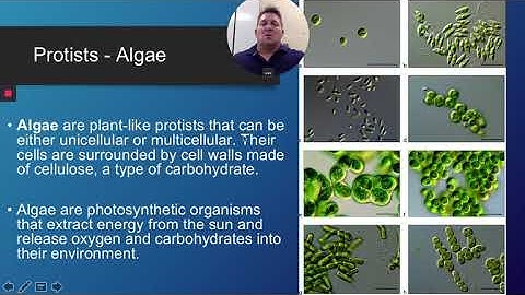 Openstax Microbiology Ch  1 Section 1 3