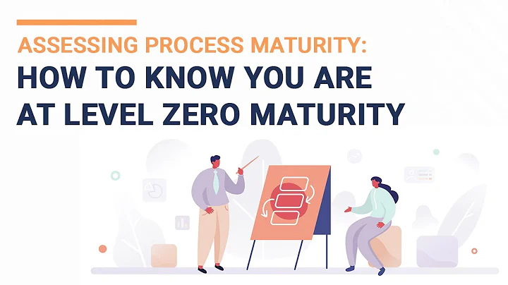 Assessing Process Maturity: How to Know You are at Level Zero Maturity