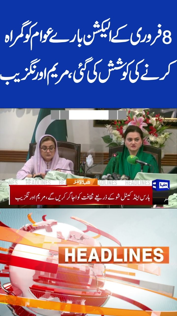 Maryam Aurangzaib Speak About 8 Feb Elections | 10 PM Headlines | #shortsviral #imrankhan