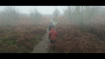 Dji Mini 3 Pro, Near Miss, Active track, Fog.