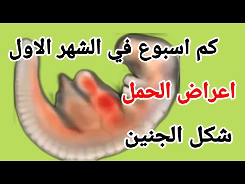 الشهر الاول من الحمل كم اسبوع فيه ما هي اعراض الحمل في الشهر الاول متى يبدا الشهر الاول من الحمل